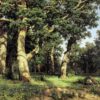 Oak grove - Ivan Shishkin - Reproductions de tableaux et peintures haut de gamme