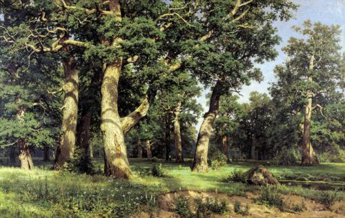 Oak grove - Ivan Shishkin - Reproductions de tableaux et peintures haut de gamme