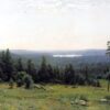 La forêt vue de loin - Ivan Shishkin - Reproductions de tableaux et peintures haut de gamme