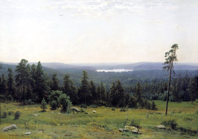 La forêt vue de loin - Ivan Shishkin - Reproductions de tableaux et peintures haut de gamme