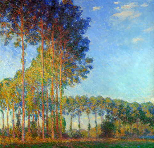 Peupliers au bord de l'Epte, vue du marais - Claude Monet - Reproductions de tableaux et peintures haut de gamme