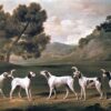 Foxhounds dans un paysage, 1762 - George Stubbs - Reproductions de tableaux et peintures haut de gamme