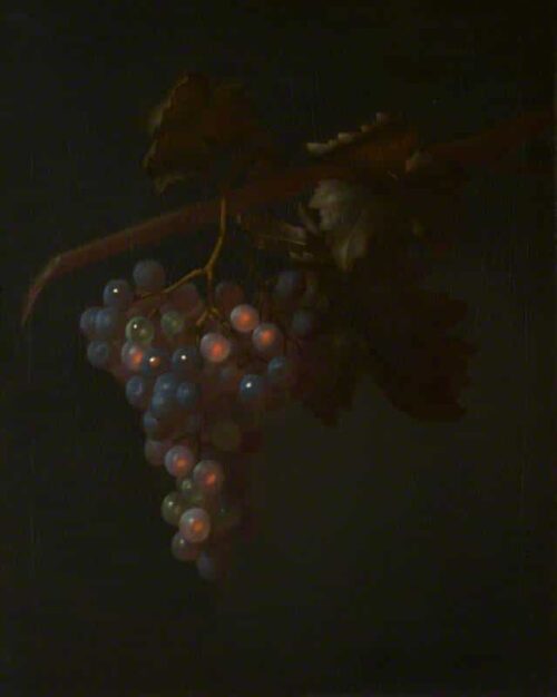 Une grappe de raisin - Tobias Stranover - Reproductions de tableaux et peintures haut de gamme