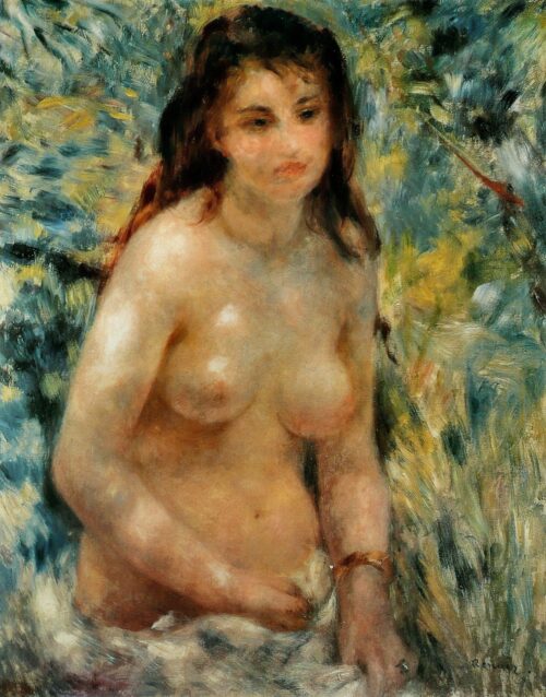 Torse d'une femme au soleil - Pierre-Auguste Renoir - Reproductions de tableaux et peintures haut de gamme