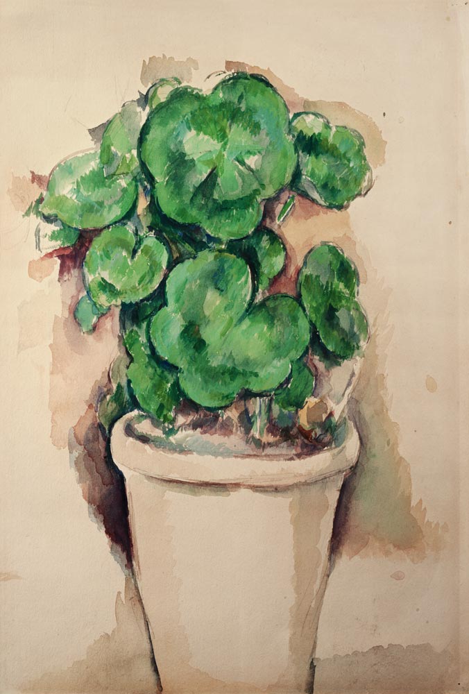 Geraniums in a Pot - Paul Cézanne