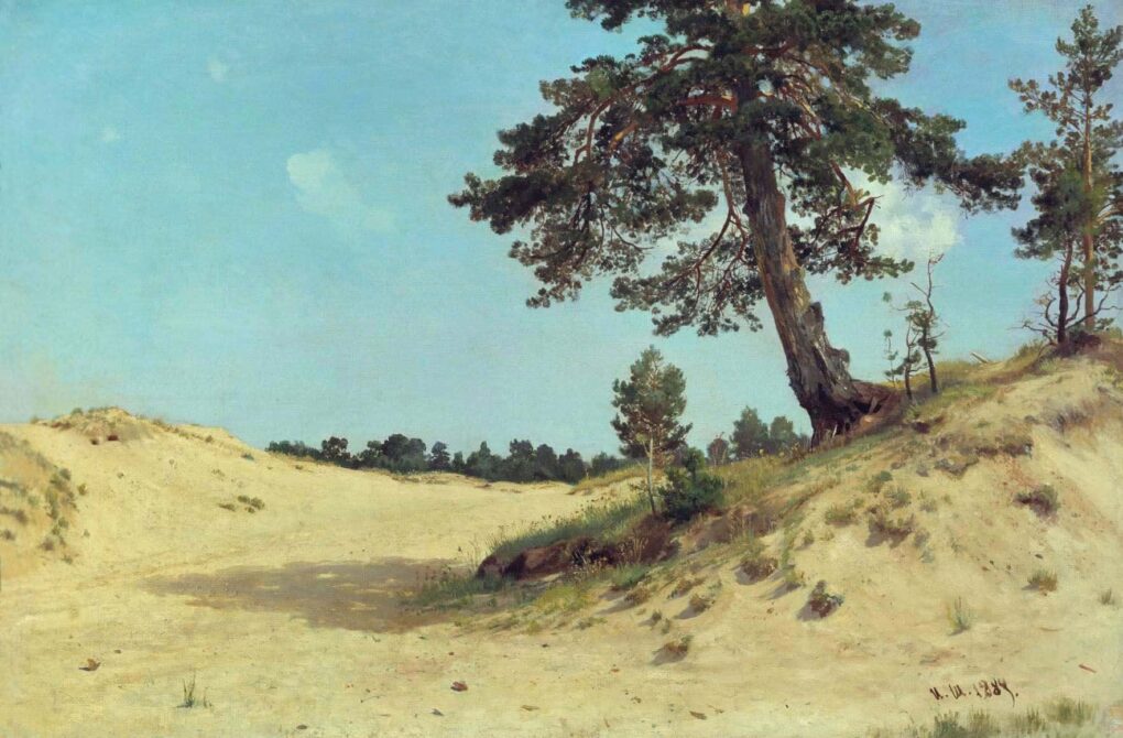 Pin dans le sable  - Ivan Shishkin - Reproductions de tableaux et peintures haut de gamme