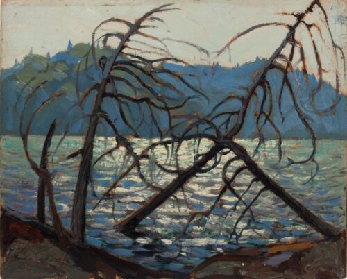 Lac Canoë - Tom Thomson - Reproductions de tableaux et peintures haut de gamme