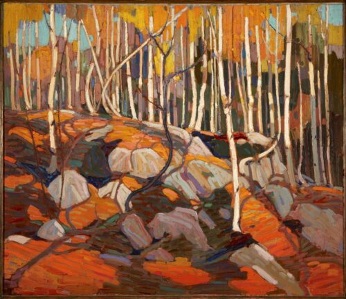 Le bosquet de bouleaux, automne - Tom Thomson - Reproductions de tableaux et peintures haut de gamme