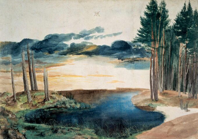 A Pond in the Forest - Albrecht Dürer