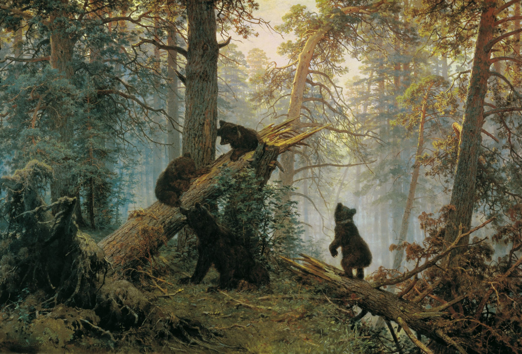 Un matin dans une forêt de pins - Ivan Shishkin - Reproductions de tableaux et peintures haut de gamme