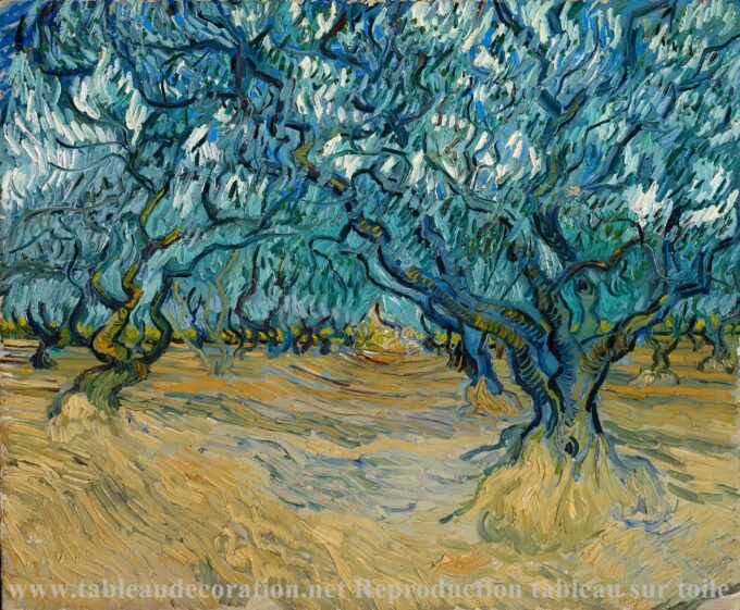 The Olive Grove - Van Gogh