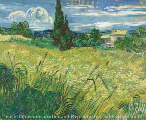 Le Champ de blé vert avec cyprès - Van Gogh - Reproductions de tableaux et peintures haut de gamme