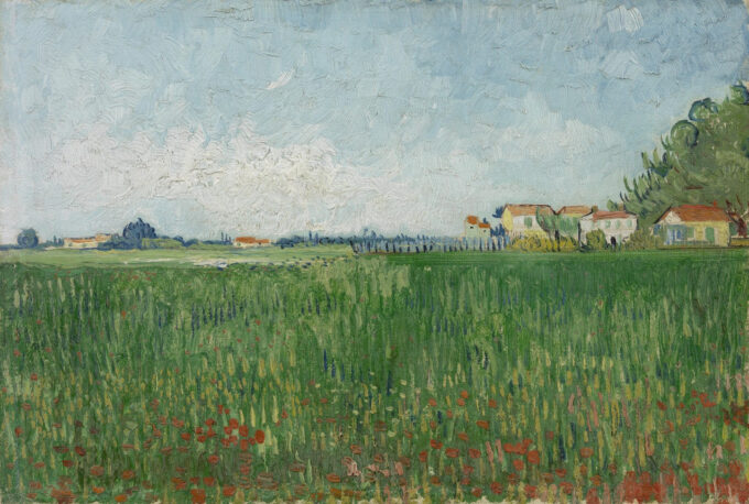 Field of Poppies - Van Gogh