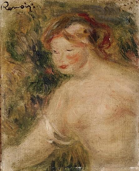 A Woman's Torso - Pierre-Auguste Renoir