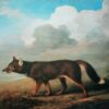 Portrait d'un grand chien de Nouvelle-Hollande (Dingo) - George Stubbs - Reproductions de tableaux et peintures haut de gamme