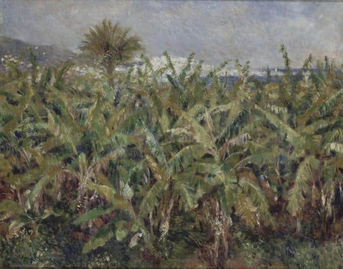 Field of Banana Trees (Banana Field) - Pierre-Auguste Renoir