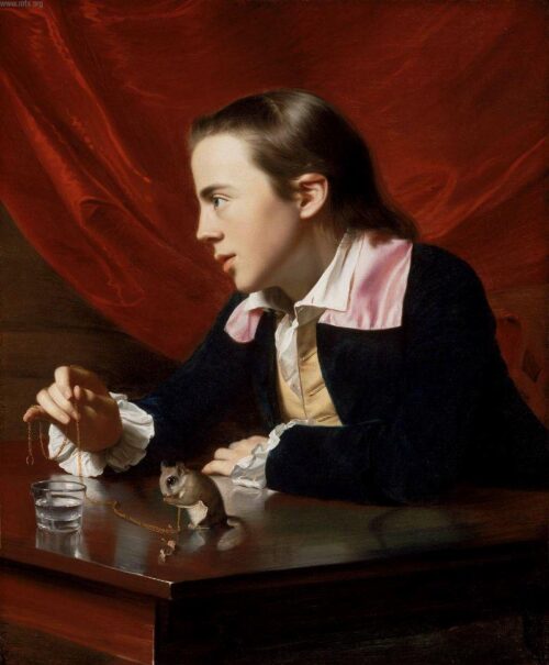 Garçon avec écureuil (Henry Pelham) - John Singleton Copley - Reproductions de tableaux et peintures haut de gamme