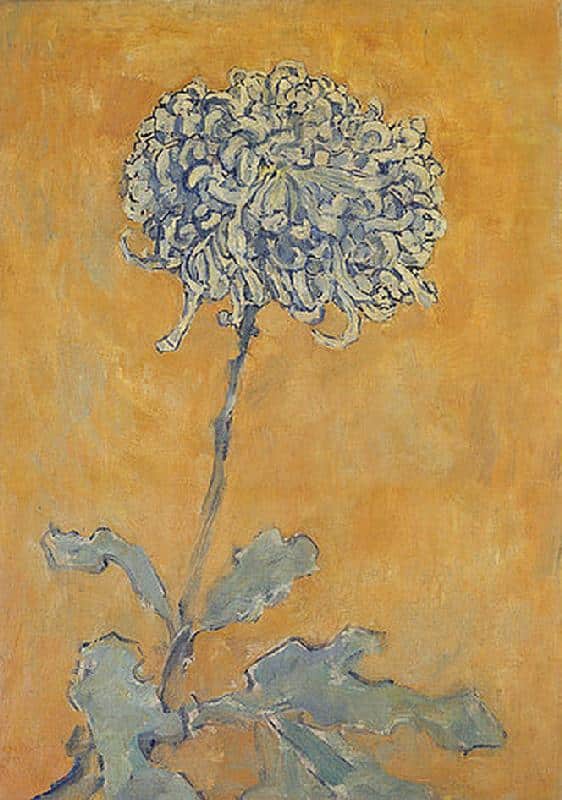 Chrysanthemum - Mondrian