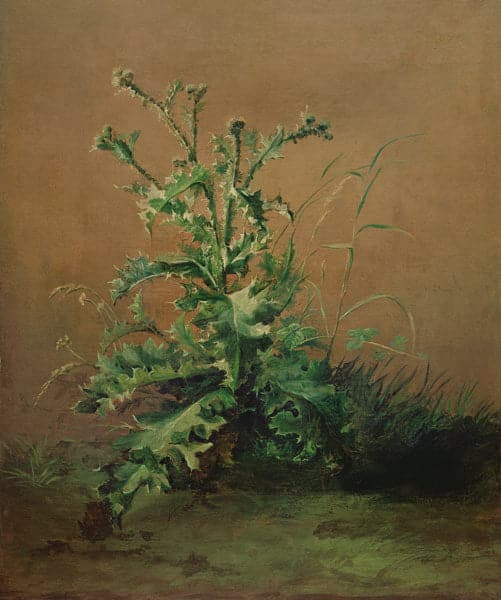 The Thistle - Edouard Manet