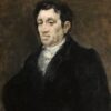 Portrait de José Pío de Molina - Francisco de Goya - Reproductions de tableaux et peintures haut de gamme