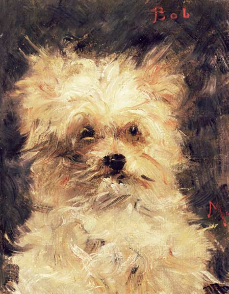 Head of a Dog "Bob" - Edouard Manet