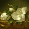 Magnolias sur tissu de velours doré - Martin Johnson Heade - Reproductions de tableaux et peintures haut de gamme