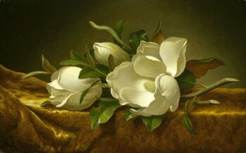 Magnolias sur tissu de velours doré - Martin Johnson Heade - Reproductions de tableaux et peintures haut de gamme