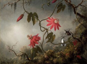 Les fleurs de la passion avec les colibris - Martin Johnson Heade - Reproductions de tableaux et peintures haut de gamme