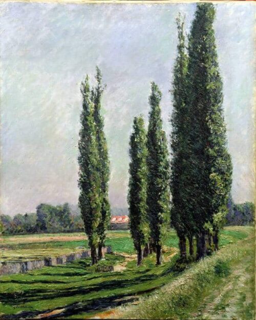 Peupliers au bord de la rivière à Argenteuil - Caillebotte - Reproductions de tableaux et peintures haut de gamme