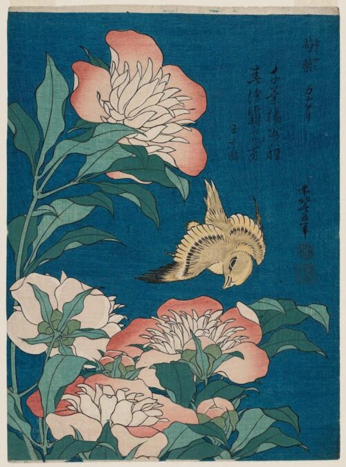 hokusai pivoines et canari (shakuyaku, kanaari), d'une série sans titre connue sous le nom de petites fleurs - Katsushika Hokusai - Reproductions de tableaux et peintures haut de gamme