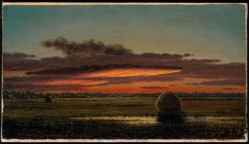 Coucher de soleil sur les marais - Martin Johnson Heade - Reproductions de tableaux et peintures haut de gamme