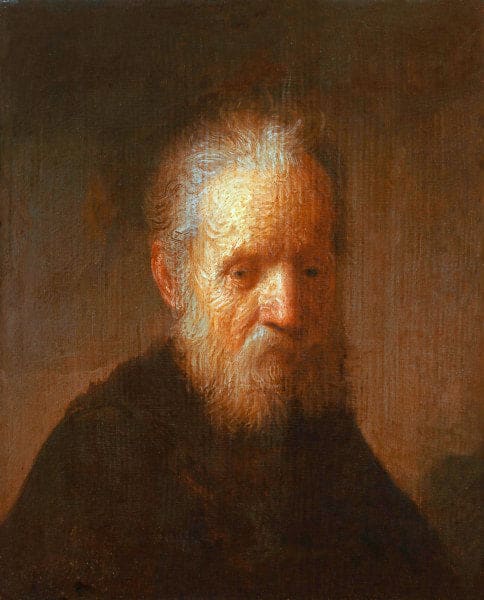 Old Man with a Beard - Rembrandt van Rijn