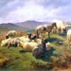 Sheep in the Highlands - Rosa Bonheur - Reproductions de tableaux et peintures haut de gamme