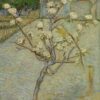 Petit poirier en fleur - Van Gogh - Reproductions de tableaux et peintures haut de gamme