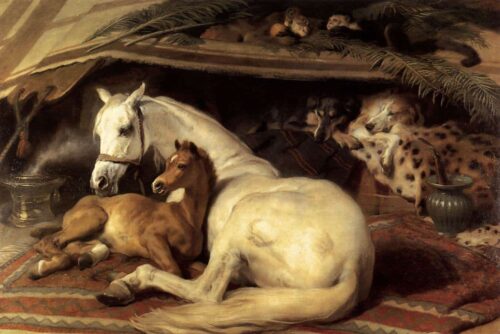 La tente arabe - Edwin Landseer - Reproductions de tableaux et peintures haut de gamme