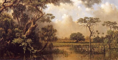 Le grand marais de Floride - Martin Johnson Heade - Reproductions de tableaux et peintures haut de gamme