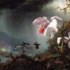 Deux colibris en combat avec deux orchidées - Martin Johnson Heade - Reproductions de tableaux et peintures haut de gamme