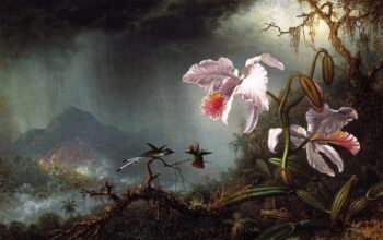 Deux colibris en combat avec deux orchidées - Martin Johnson Heade - Reproductions de tableaux et peintures haut de gamme