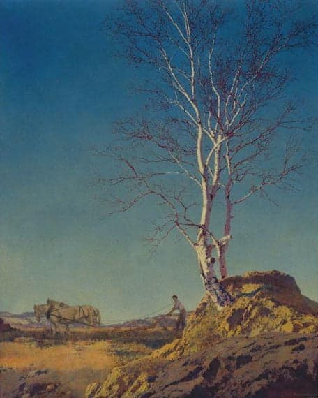 White Birch - Maxfield Parrish