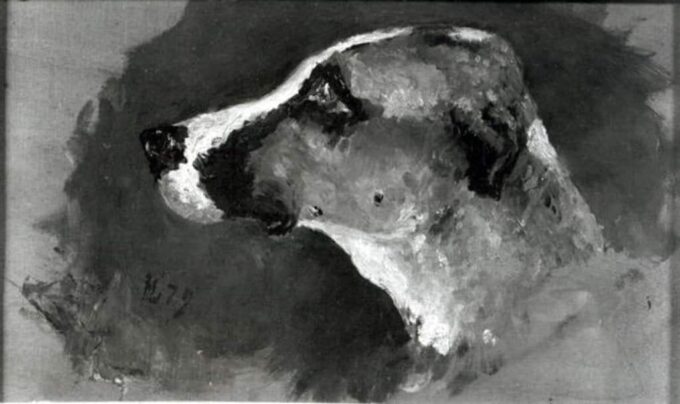 Head of a Dog with Short Ears - Toulouse Lautrec