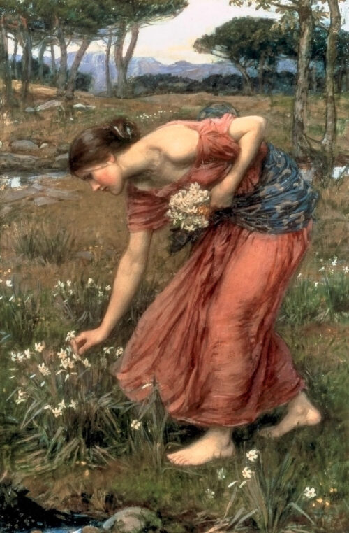 Narcissus – John William Waterhouse John William Waterhouse